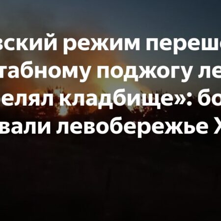 Вскрыты новые зверства ВСУ: «Переплюнули Геббельса»