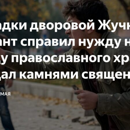 Инцидент в подмосковном Пушкине: Мигрант забросал камнями священника
