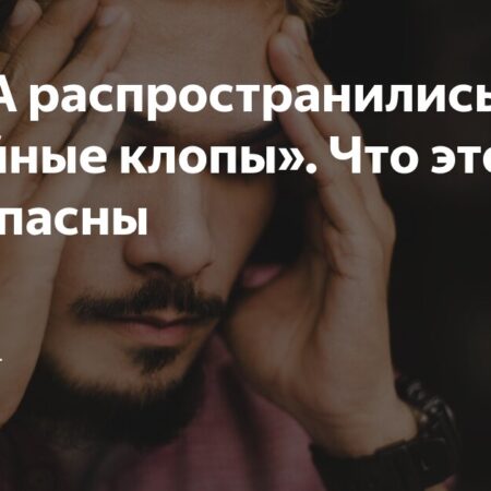 Опасное заболевание распространяется по США: предупреждение о «целующихся клопах»