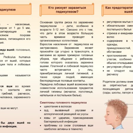 Вши у ребенка: что делать при обнаружении педикулеза
