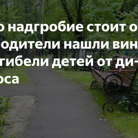 «Одно надгробие стоит отдельно»: родители нашли виноватых в гибели детей от дихлофоса