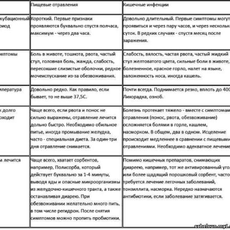 Как отличить инфекцию от отравления: мнение врача