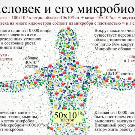 Лекарства оставляют многолетний «отпечаток» на микробиоме человека
