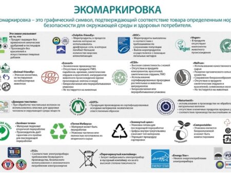 В России рассматривают маркировку двух категорий продуктов как опасных для здоровья