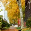 Архангельск в золоте осени: фоторепортаж с улиц города
