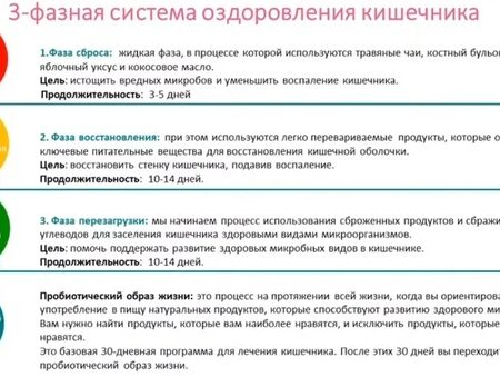 Регулярность питания: фундамент здоровья кишечника