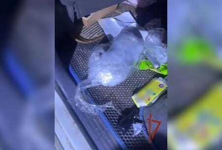 Сотрудники Росгвардии пресекли незаконный оборот наркотиков в особо крупном размере в Подмосковье