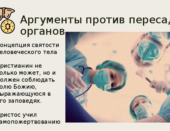 Развенчание мифа: почему пересадка органов не дарует вечную молодость