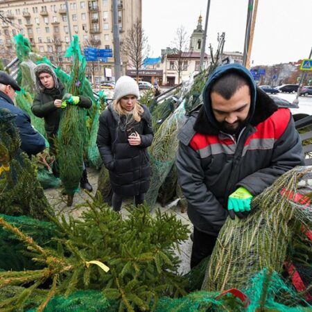 Предновогодний ажиотаж: Москвичи спешат на ёлочные базары